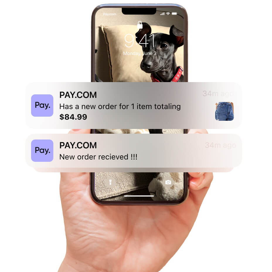 an mobile notification screen showing transactions received from pay.com's app